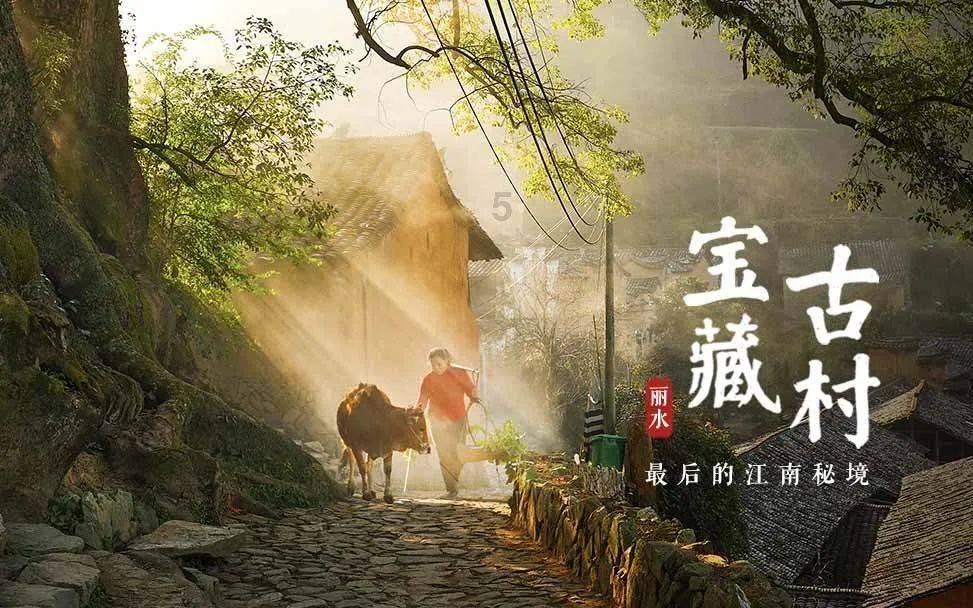 惊叹!冷知识分享平台教师工资是怎样构成的?教师的“30%绩效工资”给谁了?带你领略奇妙世界