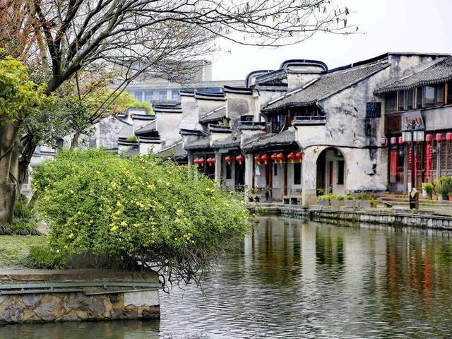 虫虫助手下载